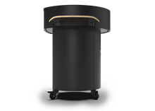 Load image into Gallery viewer, grill-guru-bbq-plancha
